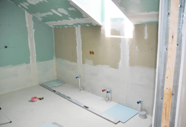Best Mold-Related Health Consultation  in Anchor Point, AK