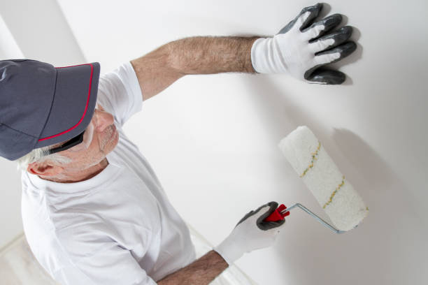 Best Attic Mold Removal  in Anchor Point, AK