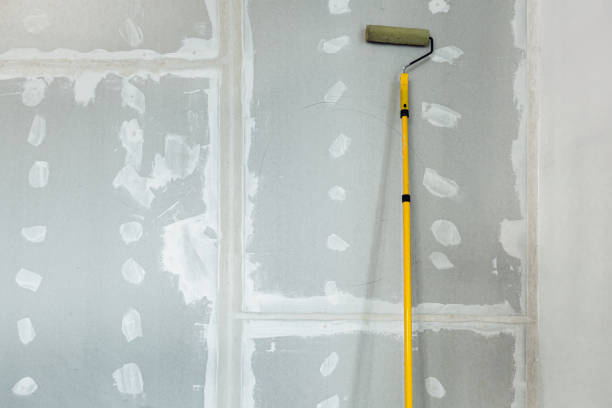 Reliable Anchor Point, AK Mold Removal Solutions